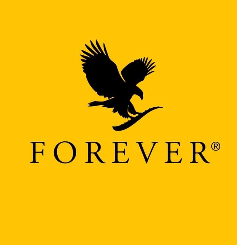 4973_1668783014.jpg logo